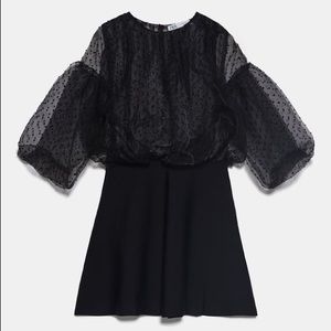 Zara Polk a Dot Sheer Top Dress